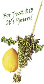 Click to Order